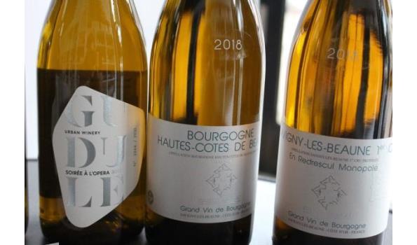 7 div flessen à 75cl witte wijn, wo Chablis, Bourgogne 2018,